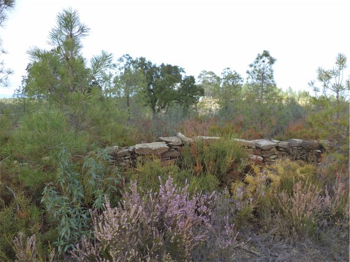 Image No.19-Propriété à vendre à Castelo Branco