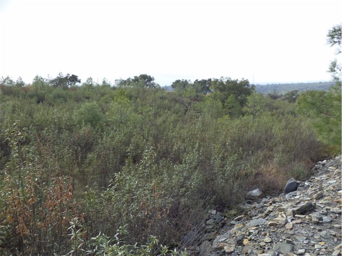 Image No.20-Propriété à vendre à Castelo Branco