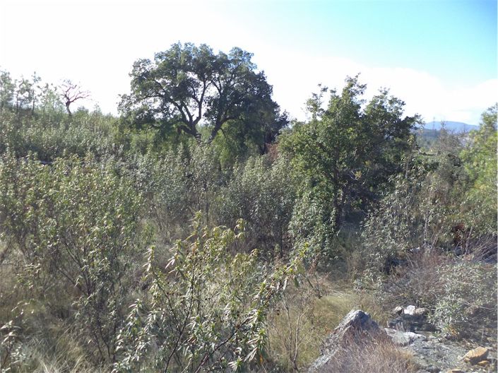 Image No.21-Propriété à vendre à Castelo Branco