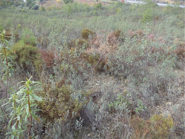 Image No.6-Propriété à vendre à Castelo Branco