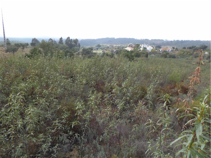 Image No.7-Propriété à vendre à Castelo Branco