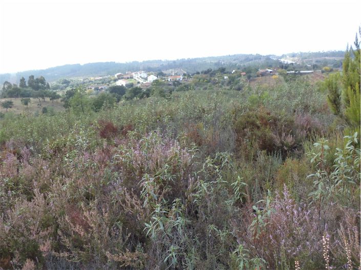 Image No.8-Propriété à vendre à Castelo Branco