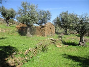 1 - Castelo Branco, Ferme