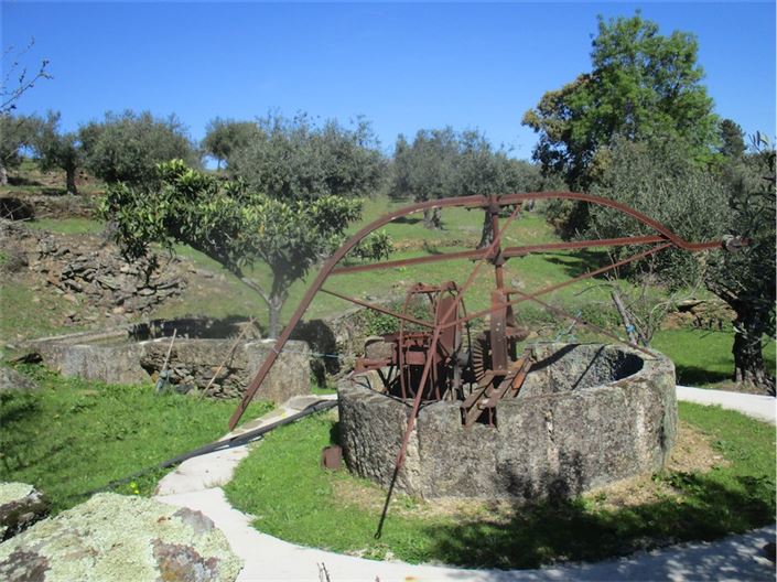 Image No.10-Ferme à vendre à Castelo Branco