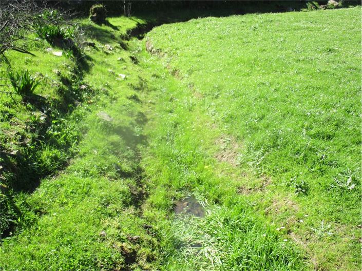 Image No.11-Ferme à vendre à Castelo Branco