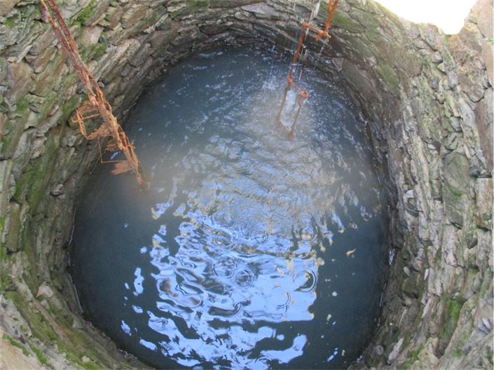 Image No.13-Ferme à vendre à Castelo Branco