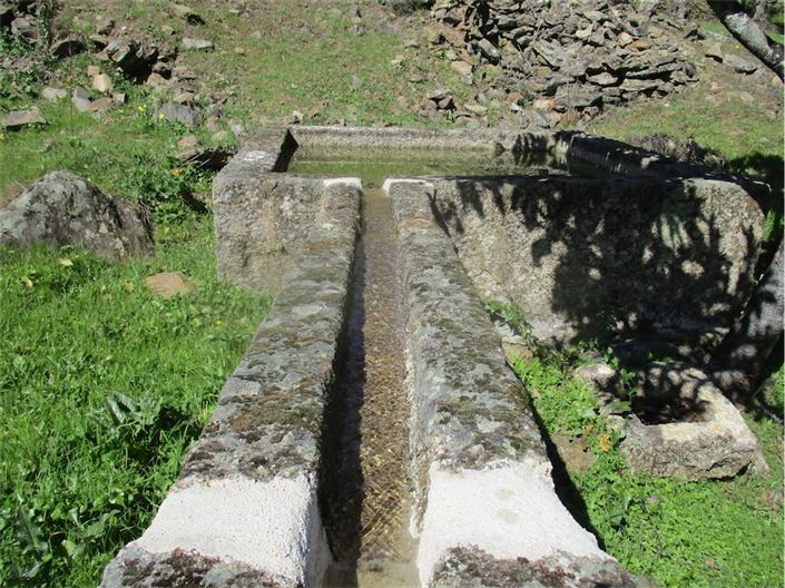 Image No.14-Ferme à vendre à Castelo Branco
