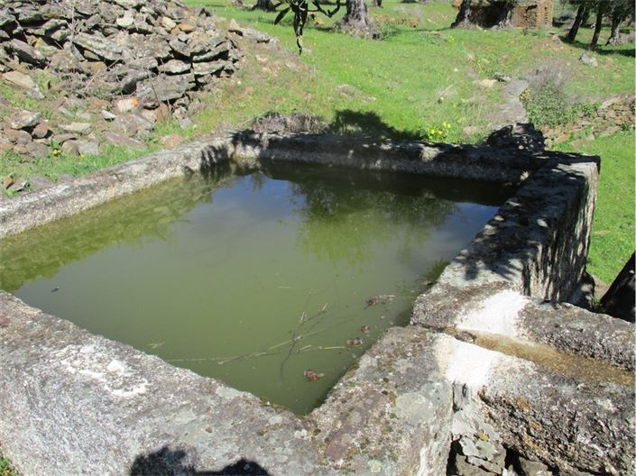 Image No.15-Ferme à vendre à Castelo Branco