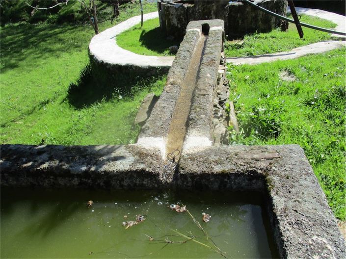 Image No.16-Ferme à vendre à Castelo Branco