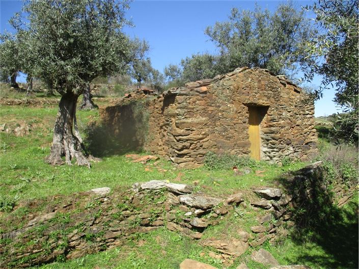 Image No.2-Ferme à vendre à Castelo Branco