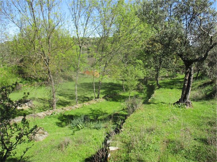 Image No.21-Ferme à vendre à Castelo Branco
