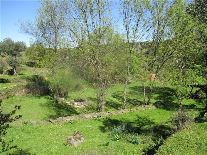Image No.22-Ferme à vendre à Castelo Branco
