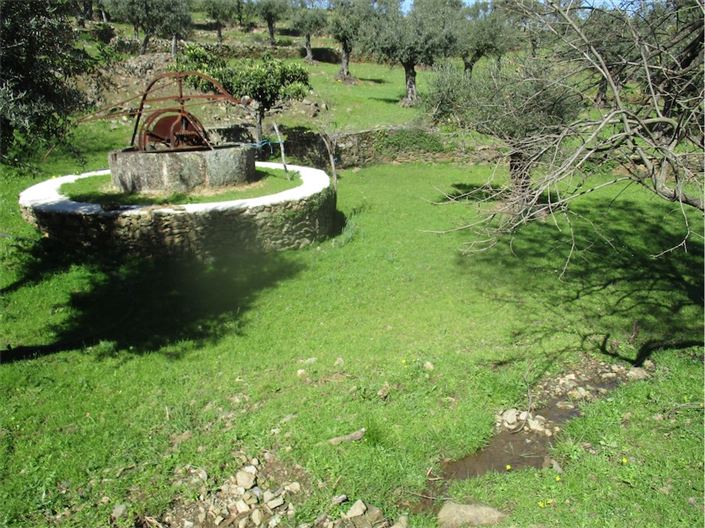Image No.23-Ferme à vendre à Castelo Branco