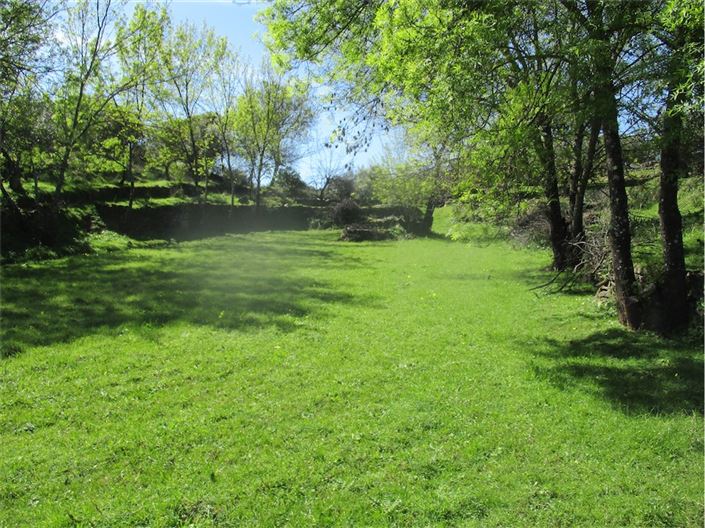 Image No.26-Ferme à vendre à Castelo Branco