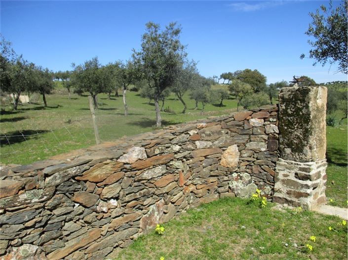 Image No.28-Ferme à vendre à Castelo Branco