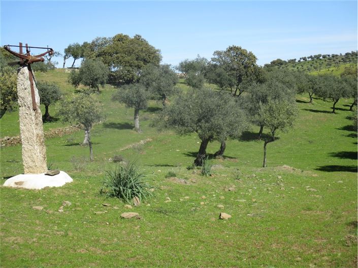 Image No.3-Ferme à vendre à Castelo Branco