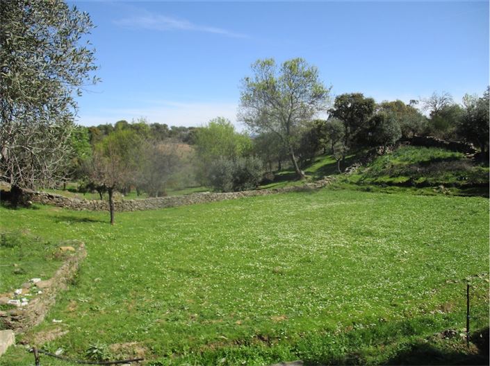 Image No.6-Ferme à vendre à Castelo Branco