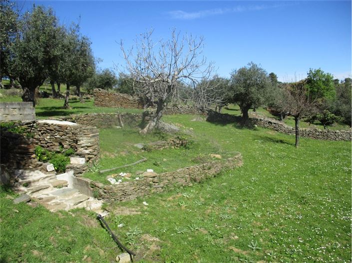 Image No.7-Ferme à vendre à Castelo Branco