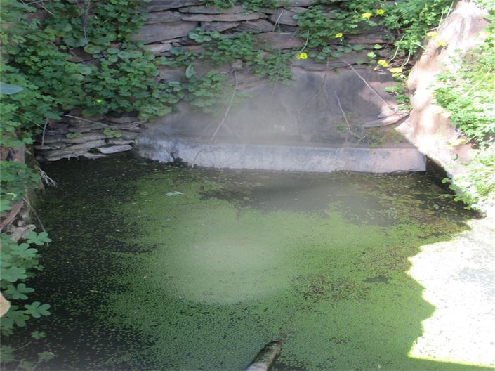 Image No.8-Ferme à vendre à Castelo Branco