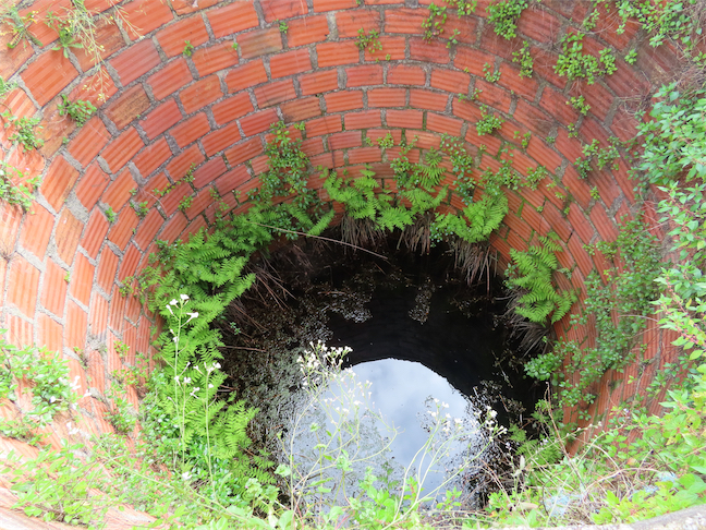 Image No.13-Propriété à vendre à Castelo Branco