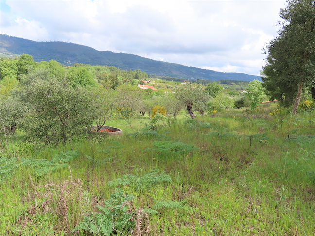 Image No.14-Propriété à vendre à Castelo Branco