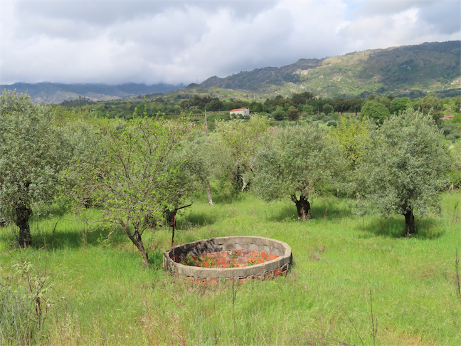 Image No.15-Propriété à vendre à Castelo Branco