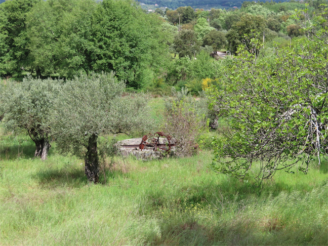 Image No.17-Propriété à vendre à Castelo Branco