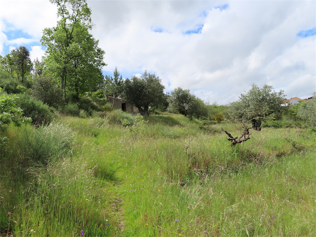 Image No.18-Propriété à vendre à Castelo Branco
