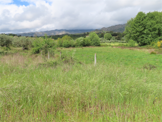 Image No.19-Propriété à vendre à Castelo Branco