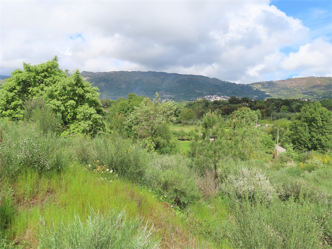 Image No.20-Propriété à vendre à Castelo Branco