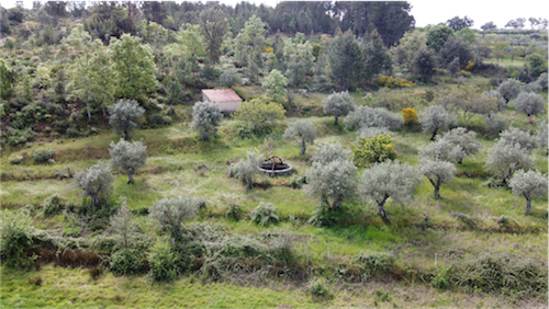 Image No.3-Propriété à vendre à Castelo Branco