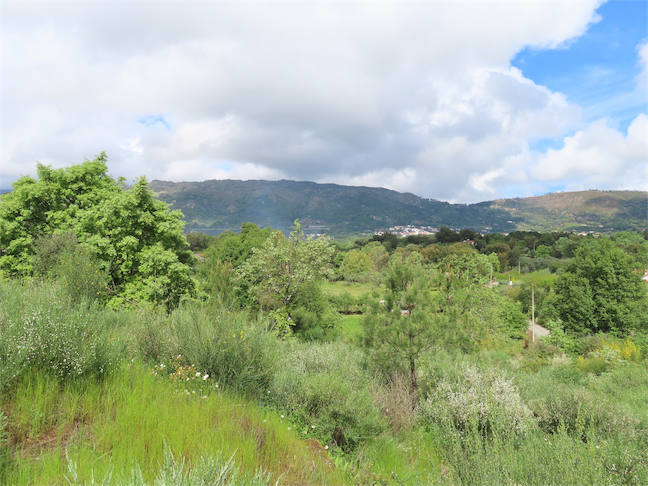 Image No.22-Propriété à vendre à Castelo Branco