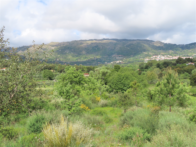 Image No.23-Propriété à vendre à Castelo Branco