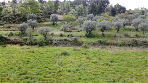 Image No.4-Propriété à vendre à Castelo Branco