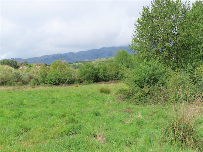 Image No.5-Propriété à vendre à Castelo Branco