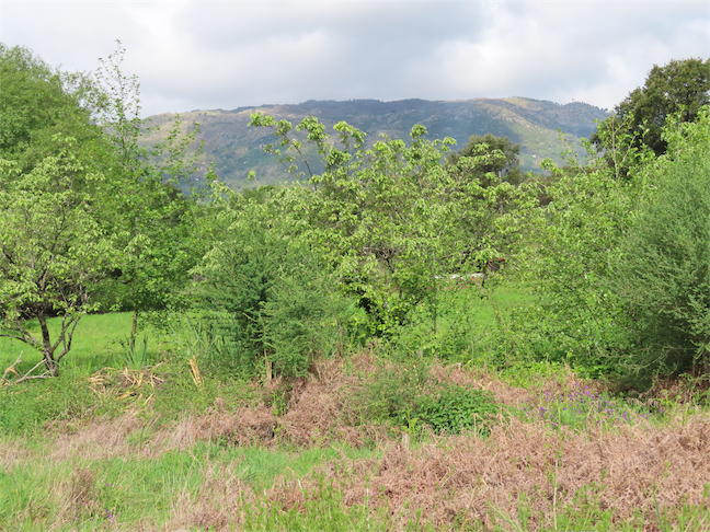 Image No.6-Propriété à vendre à Castelo Branco