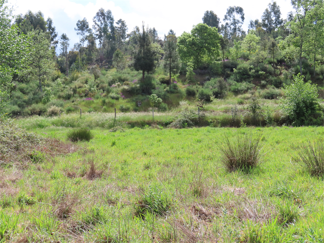 Image No.9-Propriété à vendre à Castelo Branco