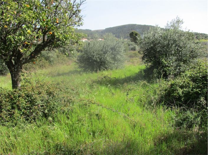 Image No.11-Propriété à vendre à Castelo Branco