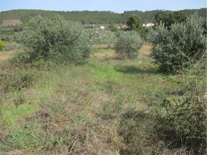 Image No.12-Propriété à vendre à Castelo Branco