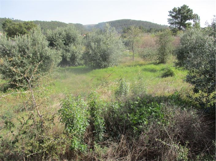 Image No.13-Propriété à vendre à Castelo Branco