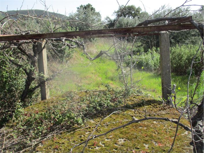 Image No.14-Propriété à vendre à Castelo Branco