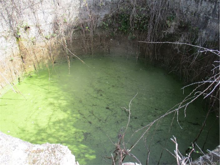 Image No.18-Propriété à vendre à Castelo Branco