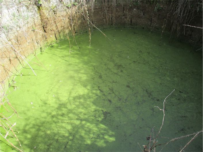 Image No.19-Propriété à vendre à Castelo Branco