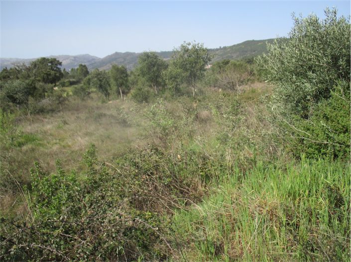 Image No.2-Propriété à vendre à Castelo Branco