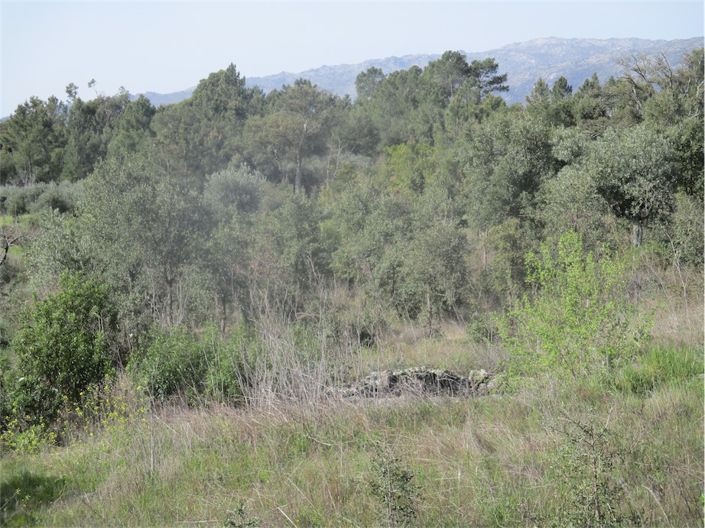 Image No.20-Propriété à vendre à Castelo Branco