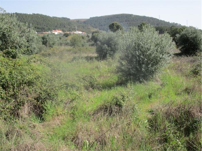 Image No.21-Propriété à vendre à Castelo Branco