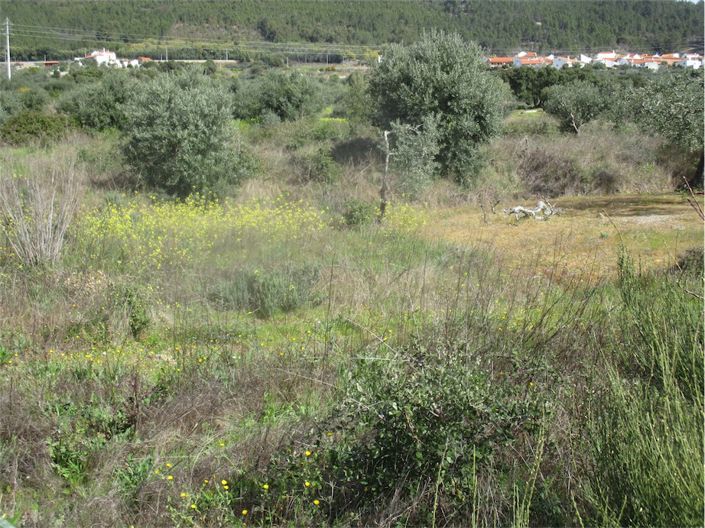 Image No.22-Propriété à vendre à Castelo Branco