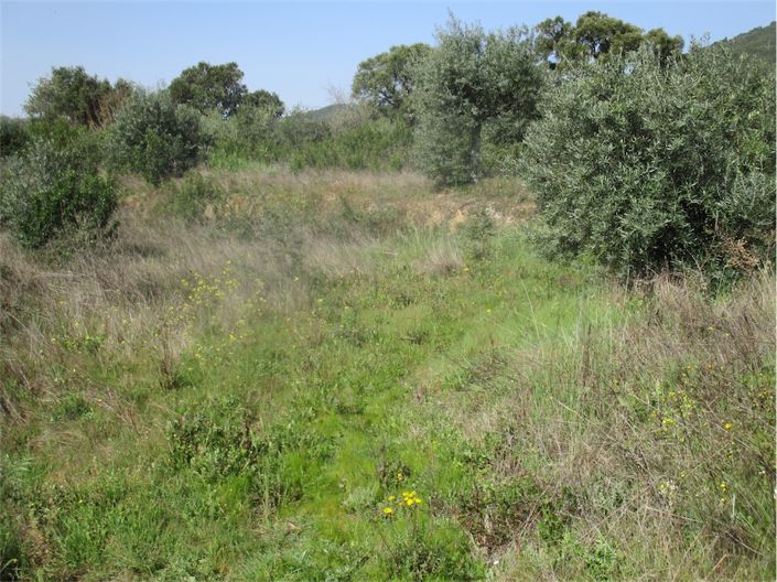 Image No.25-Propriété à vendre à Castelo Branco