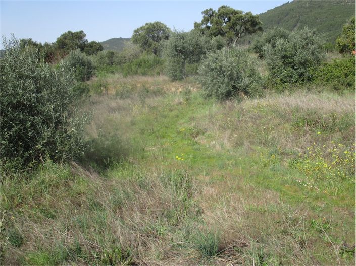 Image No.26-Propriété à vendre à Castelo Branco