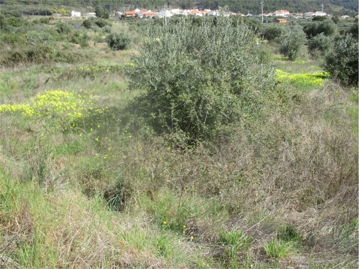 Image No.27-Propriété à vendre à Castelo Branco